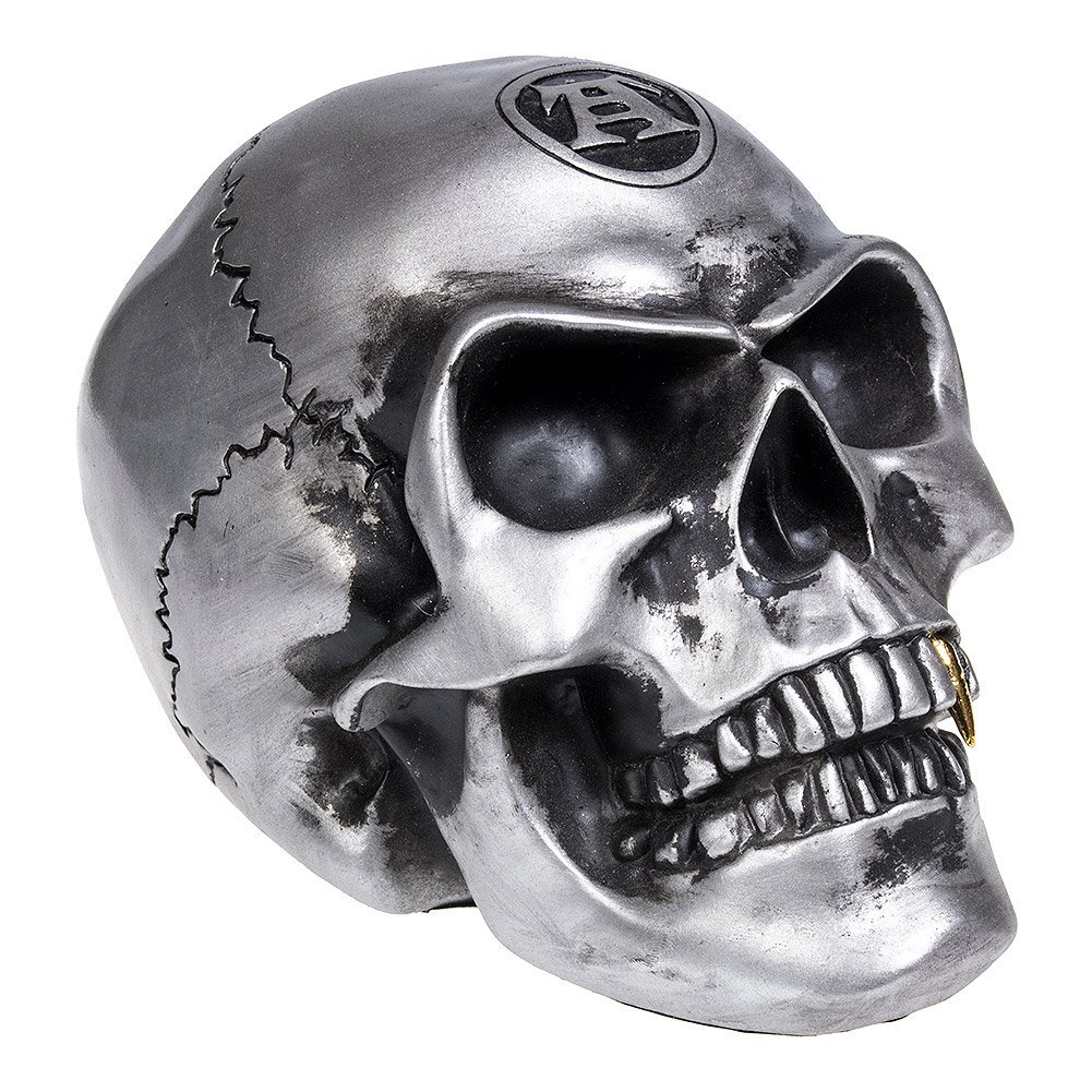 Amazon.com: Large Metalized Colored Skull : Home & Kitchen